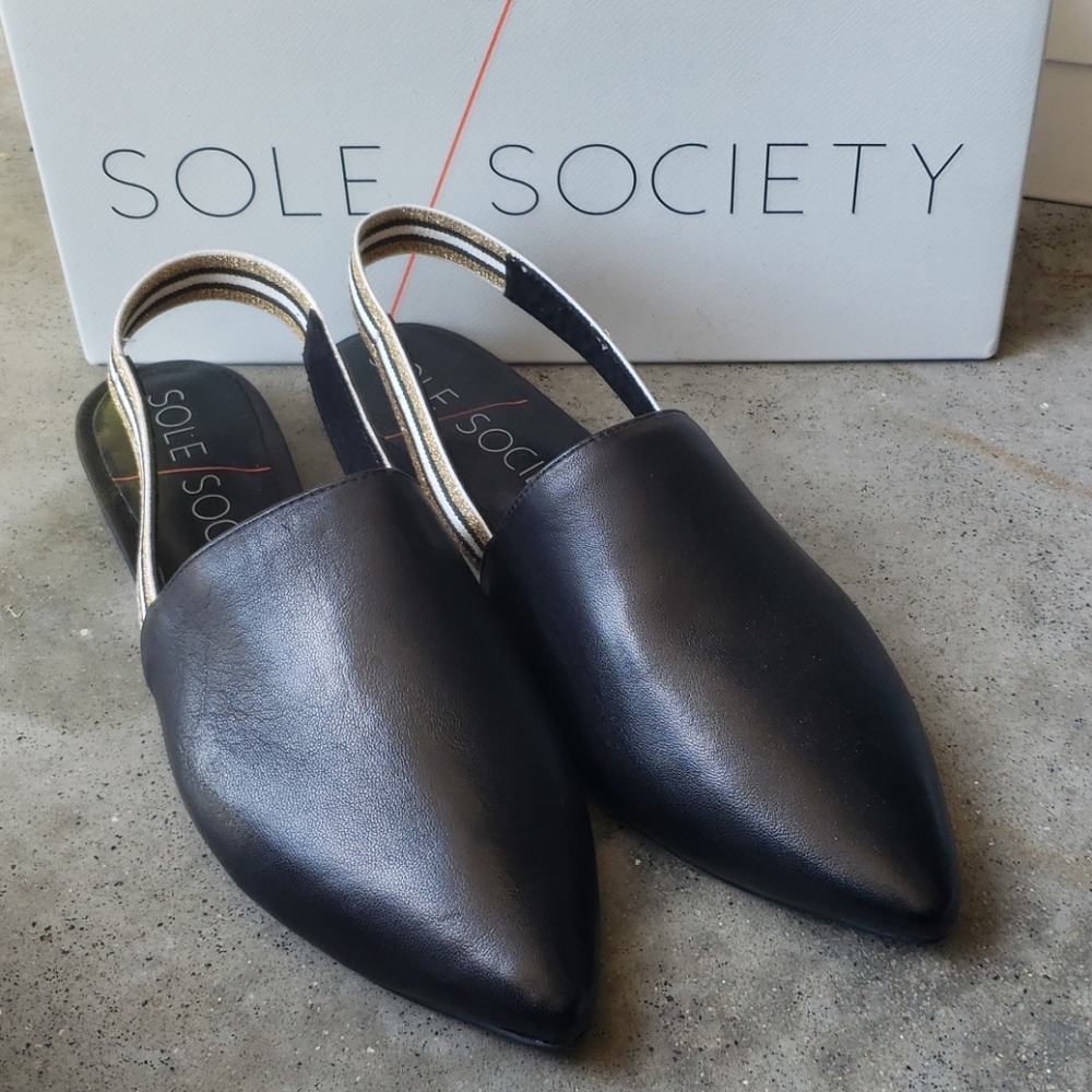 Sole Society Pointed Toe Sling Back